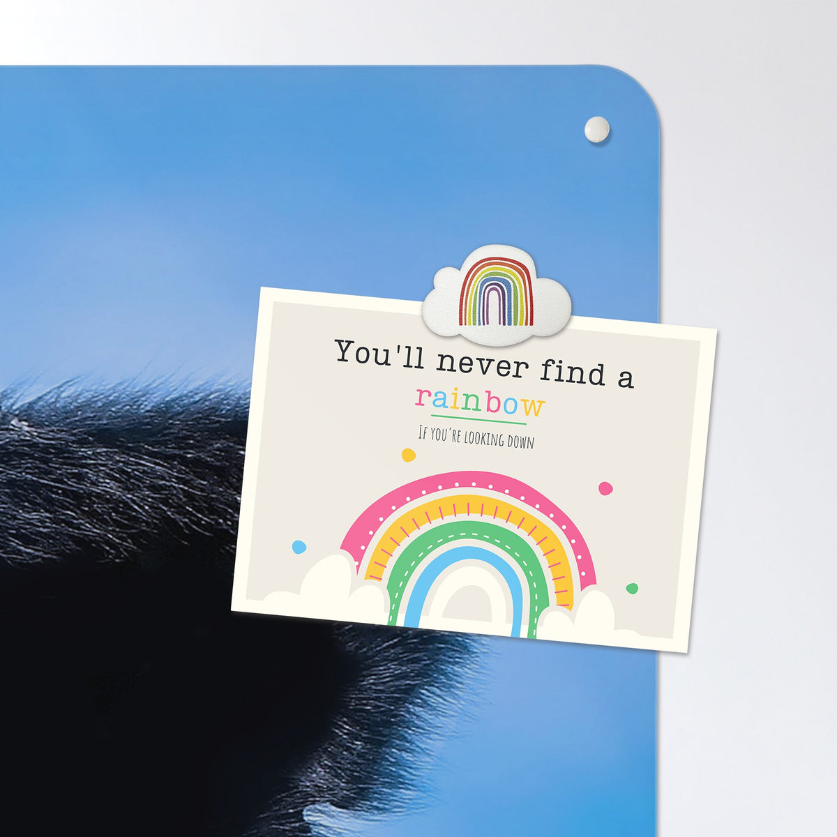 A postcard held by a fridge magnet on the Friesian Cow magnetic notice board