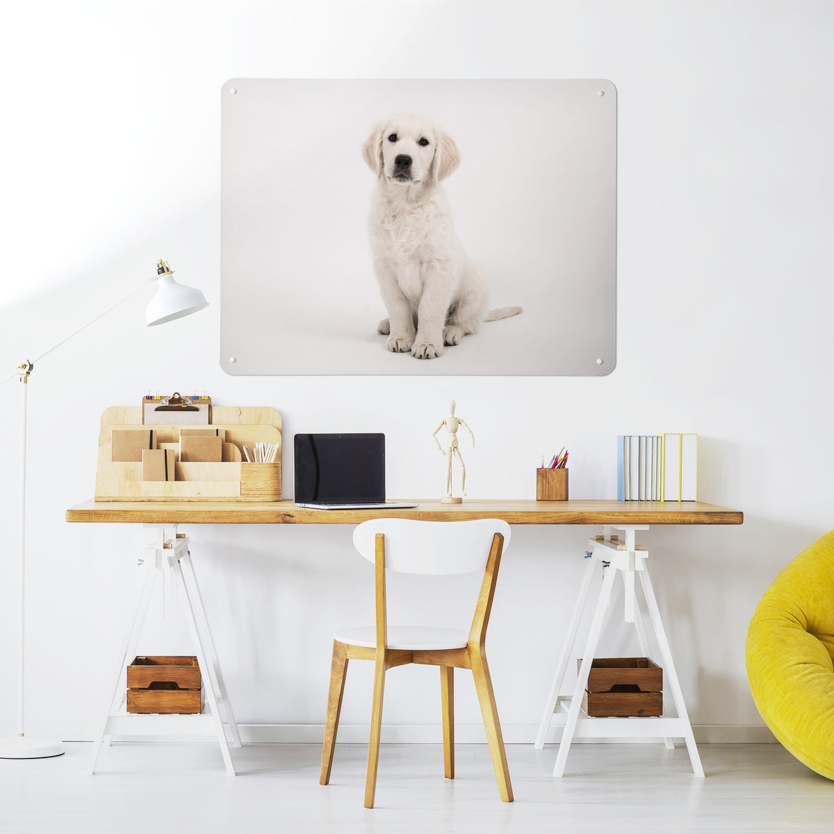 Golden Retriever Puppy magnetic notice board above a desk in a home office