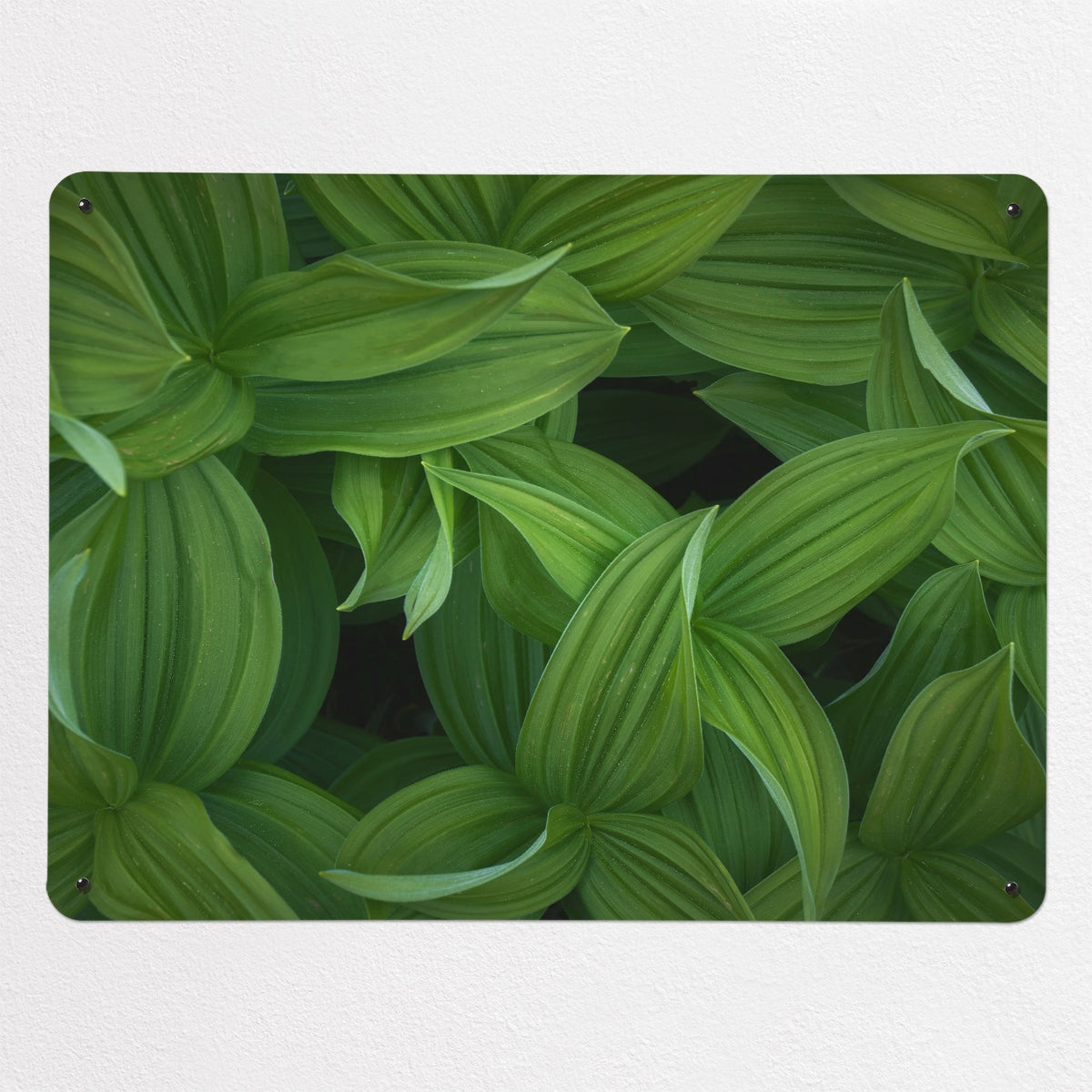 Green Leaves magnetic notice board, large size, 100 × 75 cm