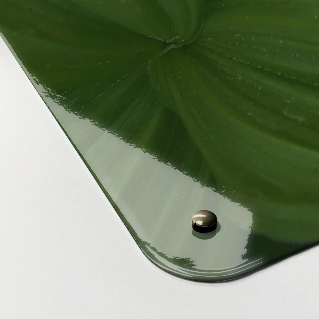 Close-up of the corner of the Green Leaves magnetic notice board, showing the gloss finish and a screw cap