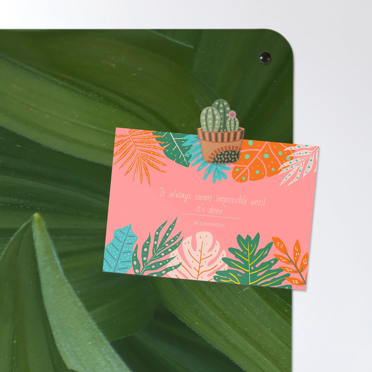 A postcard held by a fridge magnet on the Green Leaves magnetic notice board