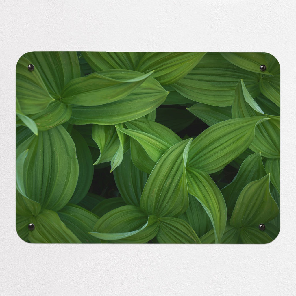 Green Leaves magnetic notice board, small size, 55 × 40 cm
