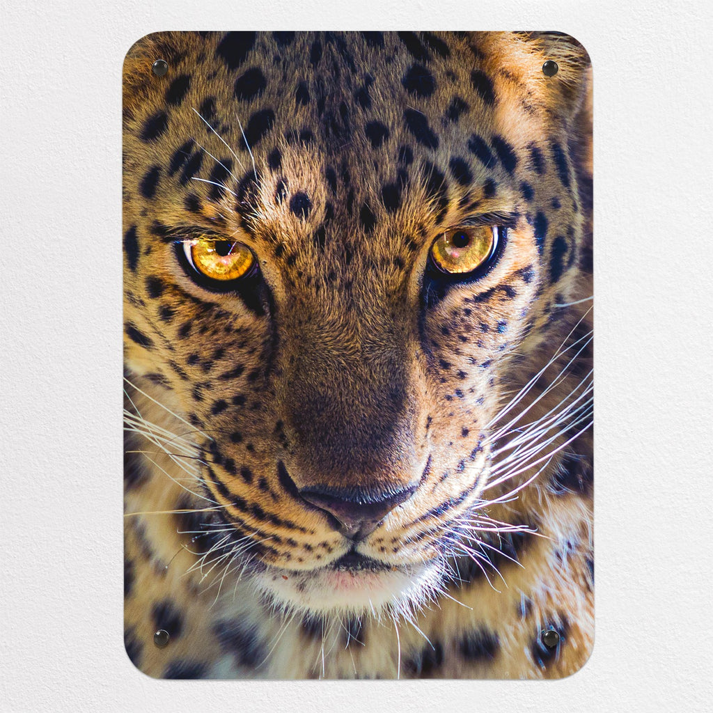 Leopard Face magnetic notice board, small size, 40 × 55 cm