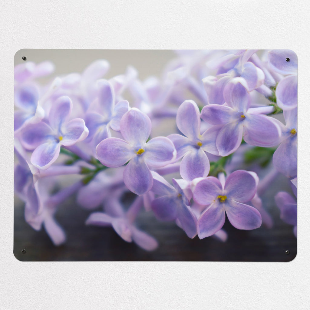 Lilac magnetic notice board, large size, 100 × 75 cm