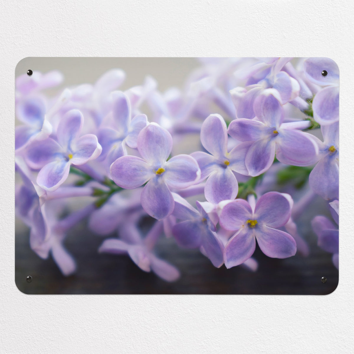 Lilac magnetic notice board, medium size, 75 × 55 cm