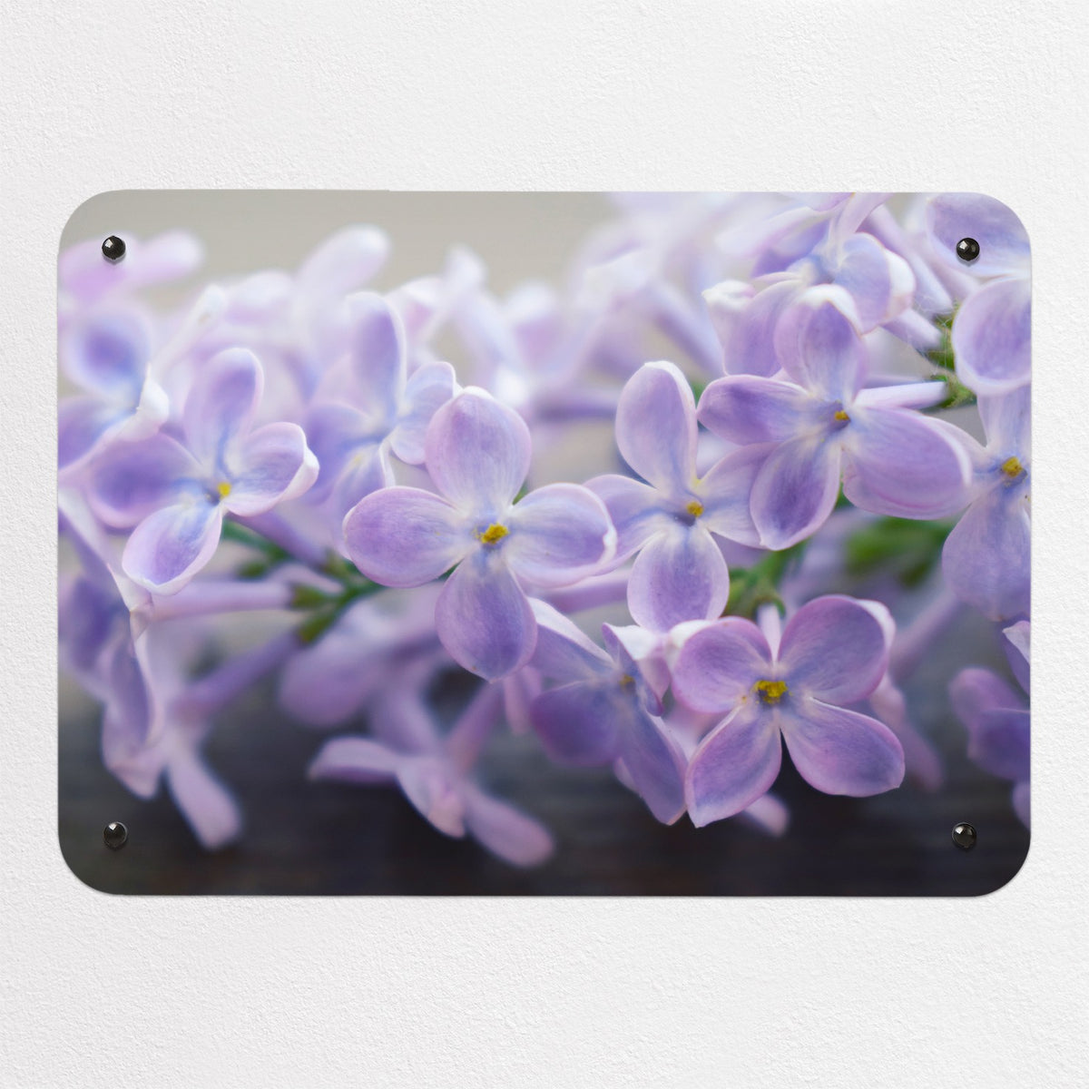 Lilac magnetic notice board, small size, 55 × 40 cm