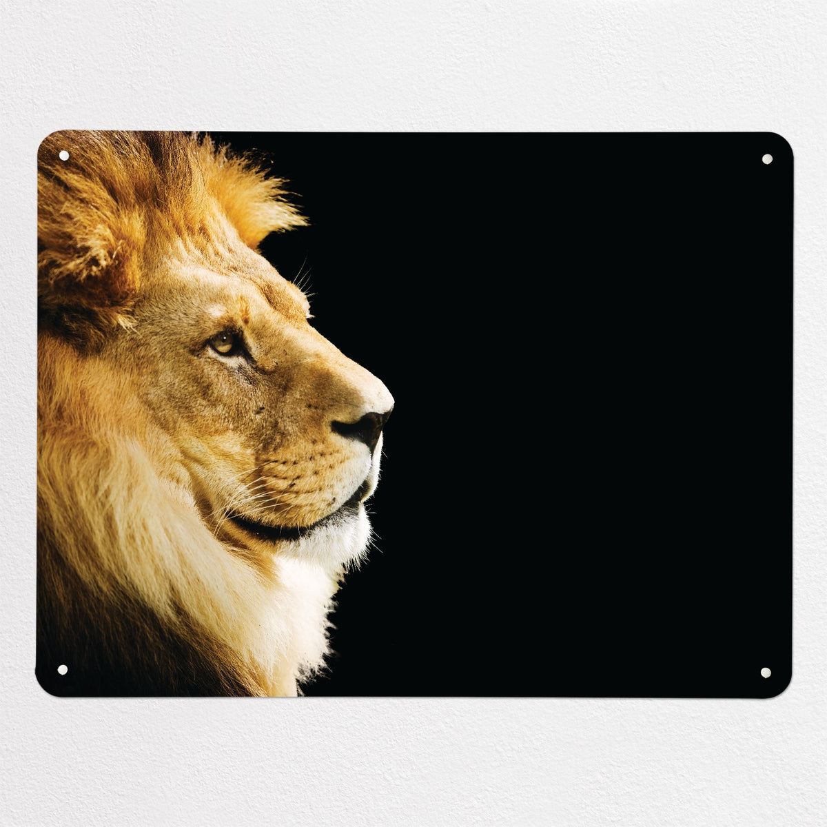 Lion magnetic notice board, large size, 100 × 75 cm