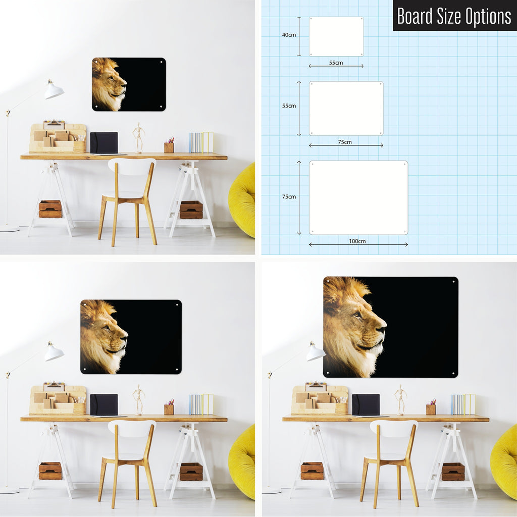 Lion magnetic notice board shown in small, medium and large, with the measurements of each