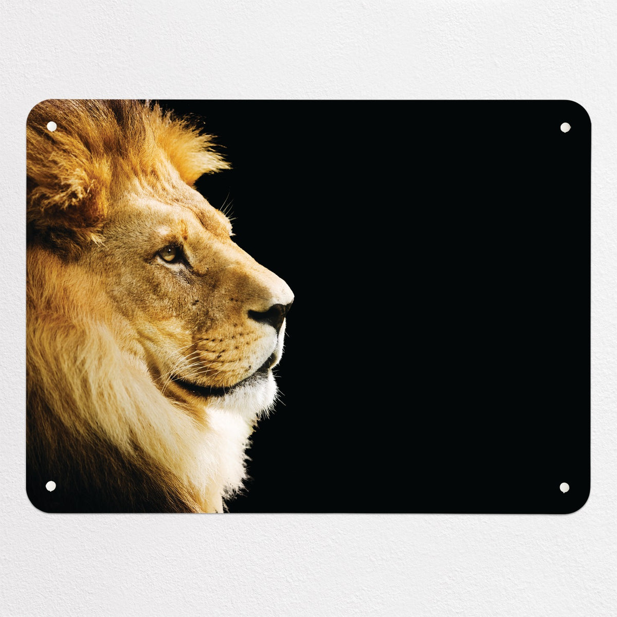 Lion magnetic notice board, medium size, 75 × 55 cm