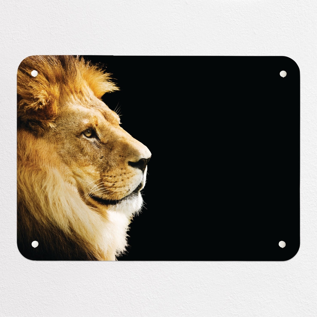 Lion magnetic notice board, small size, 55 × 40 cm