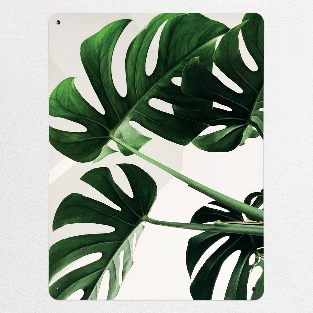 Monstera Plant magnetic notice board, large size, 75 × 100 cm