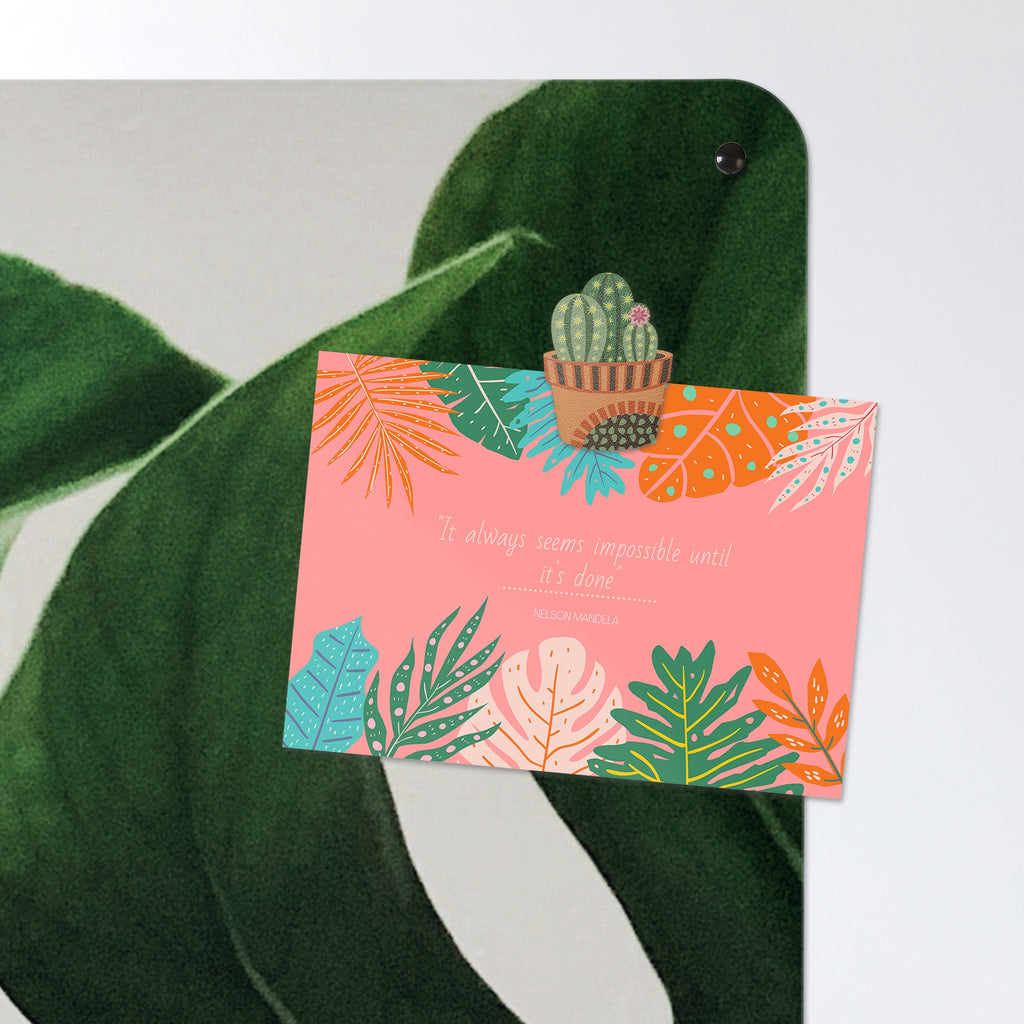 A postcard held by a fridge magnet on the Monstera Plant magnetic notice board