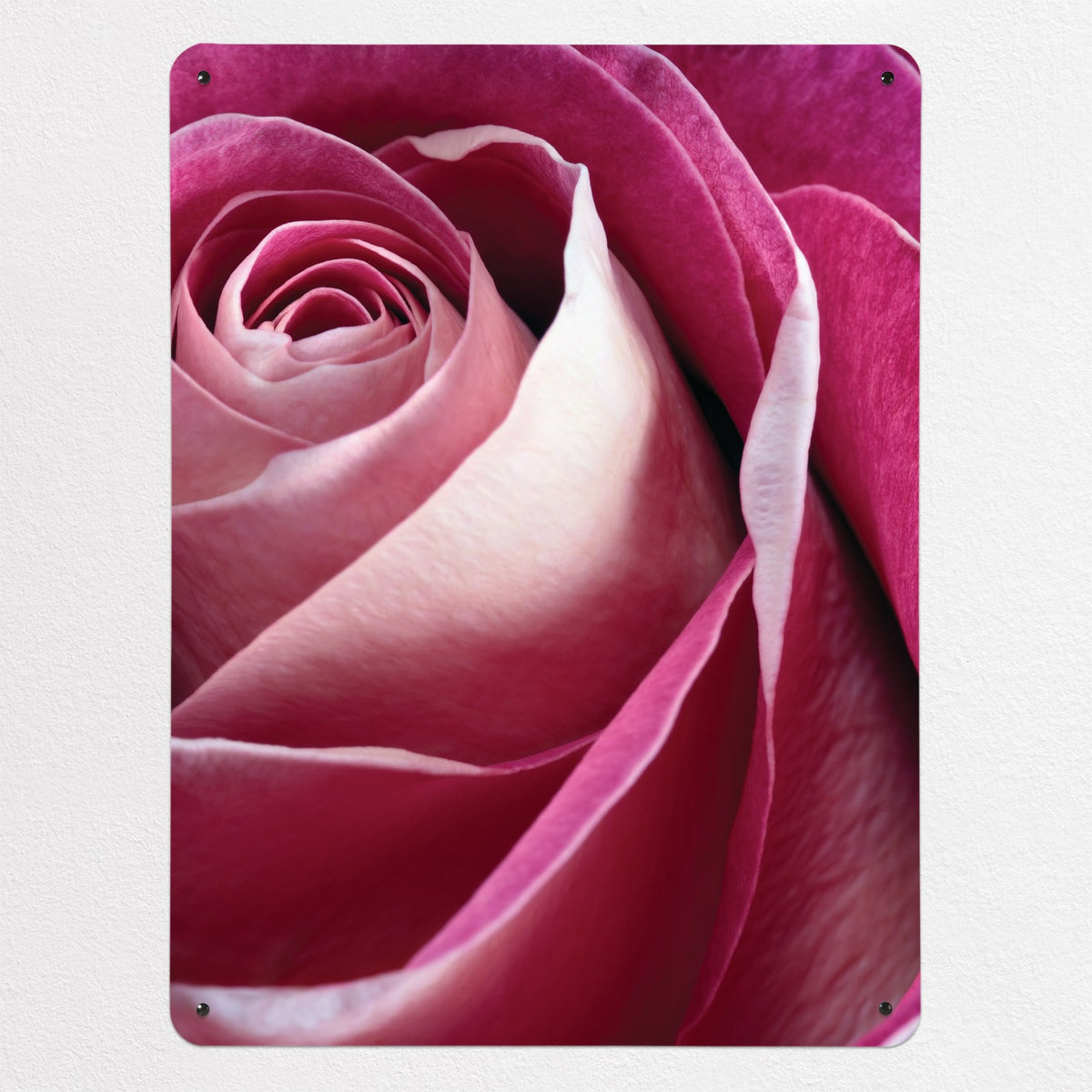 Pink Rose magnetic notice board in Pink Rose, large size, 75 × 100 cm