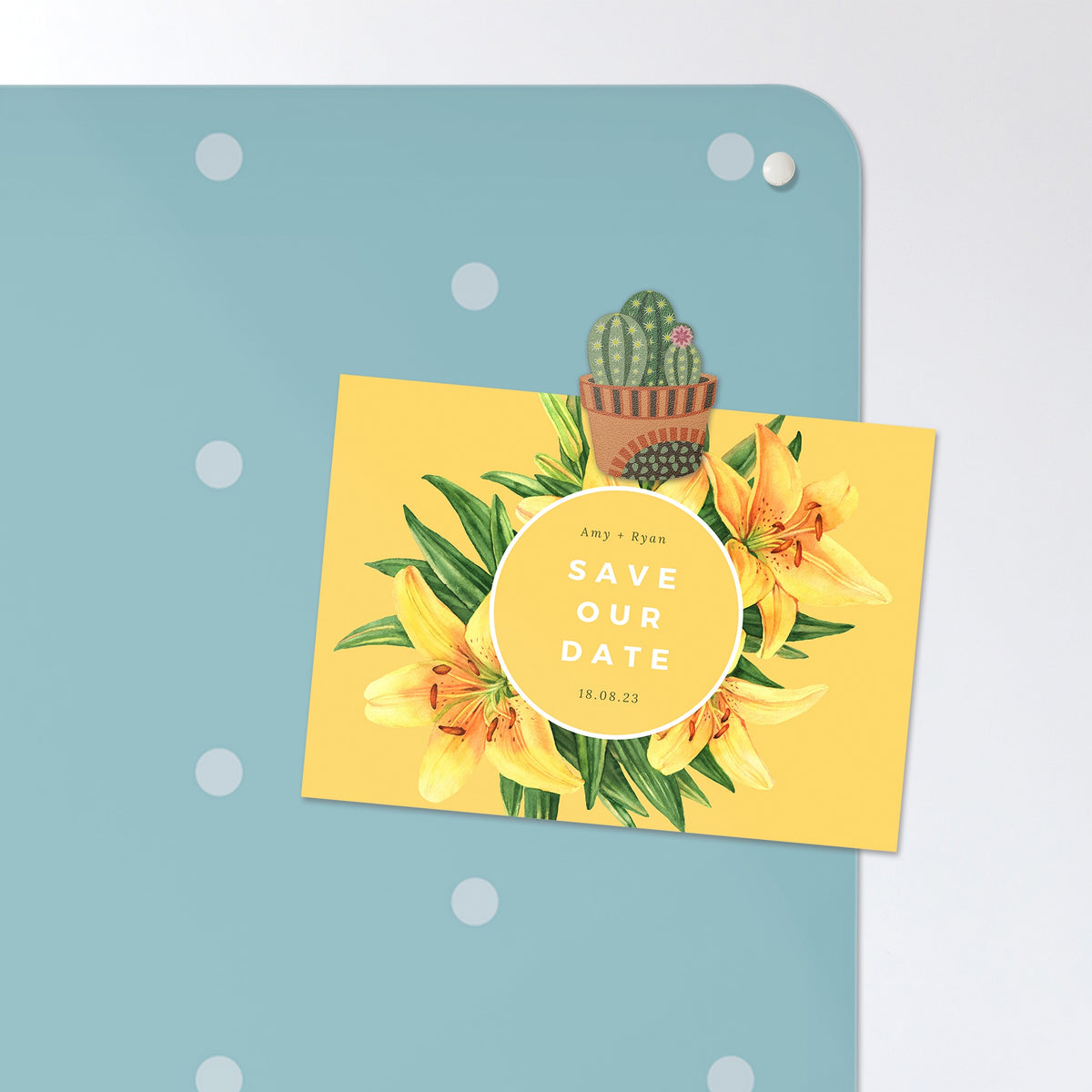 A postcard held by a fridge magnet on the Polka Dots Design magnetic notice board in Blue