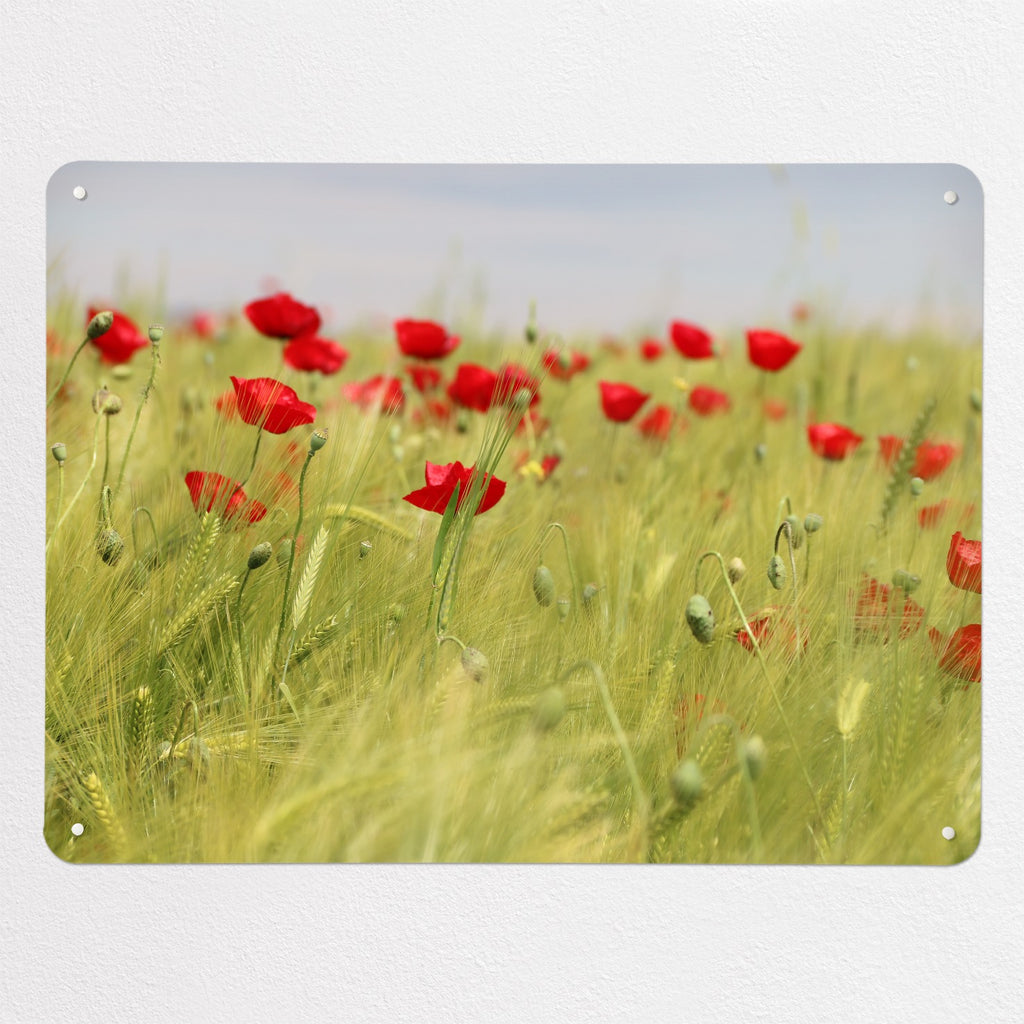 Poppy Field magnetic notice board, large size, 100 × 75 cm