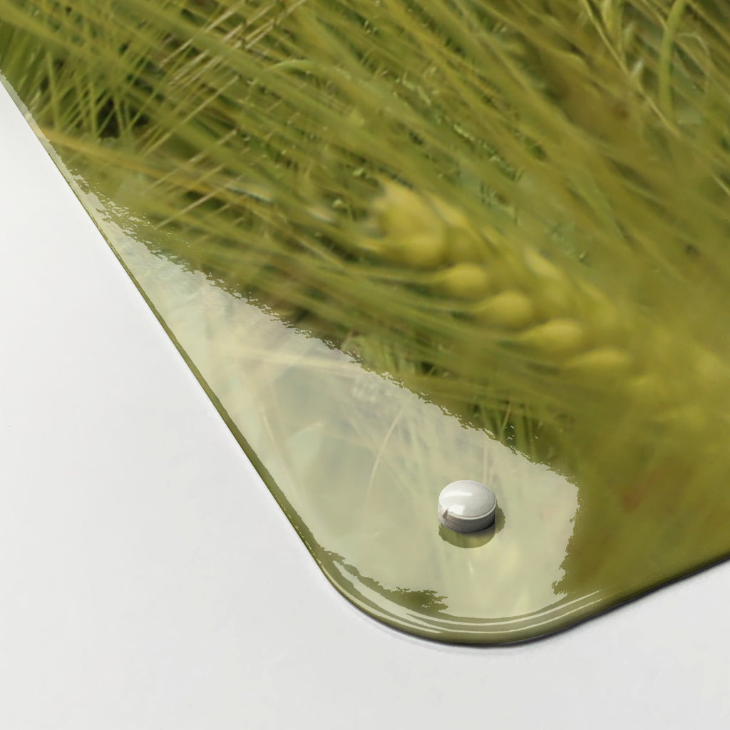 Close-up of the corner of the Poppy Field magnetic notice board, showing the gloss finish and a screw cap