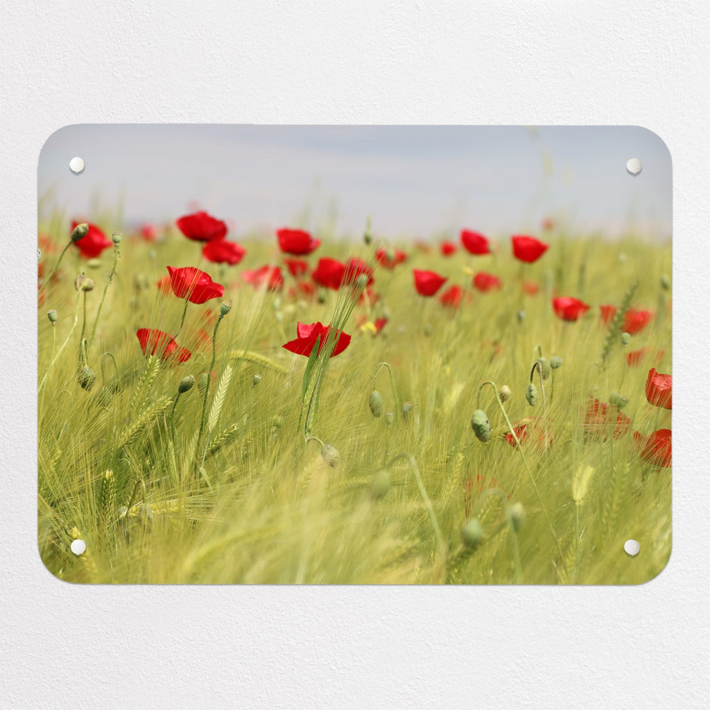 Poppy Field magnetic notice board, small size, 55 × 40 cm