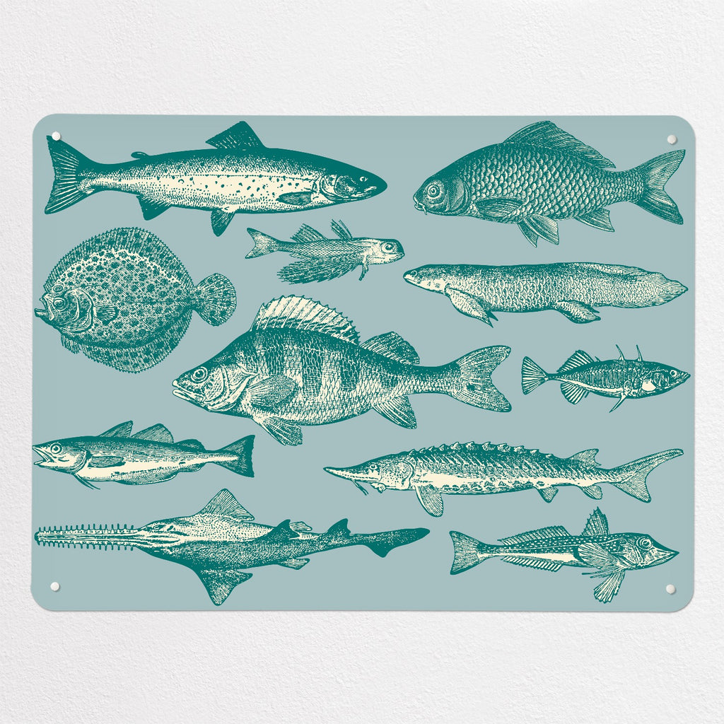 Sea Life Illustrations magnetic notice board in Fish Illustration, large size, 100 × 75 cm