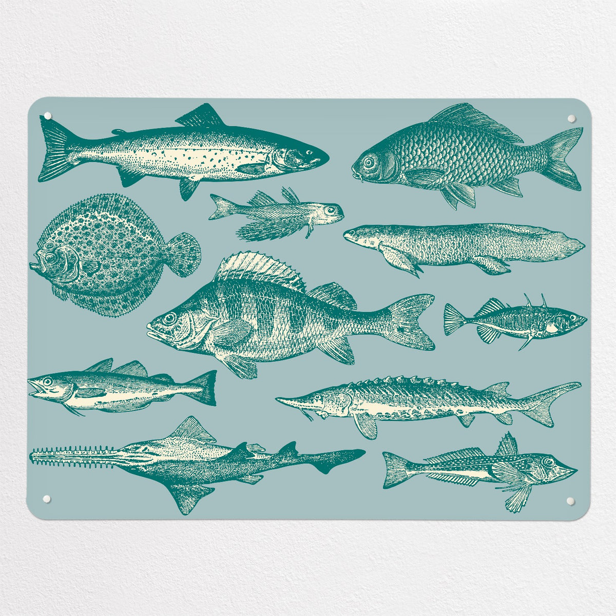 Sea Life Illustrations magnetic notice board in Fish Illustration, large size, 100 × 75 cm