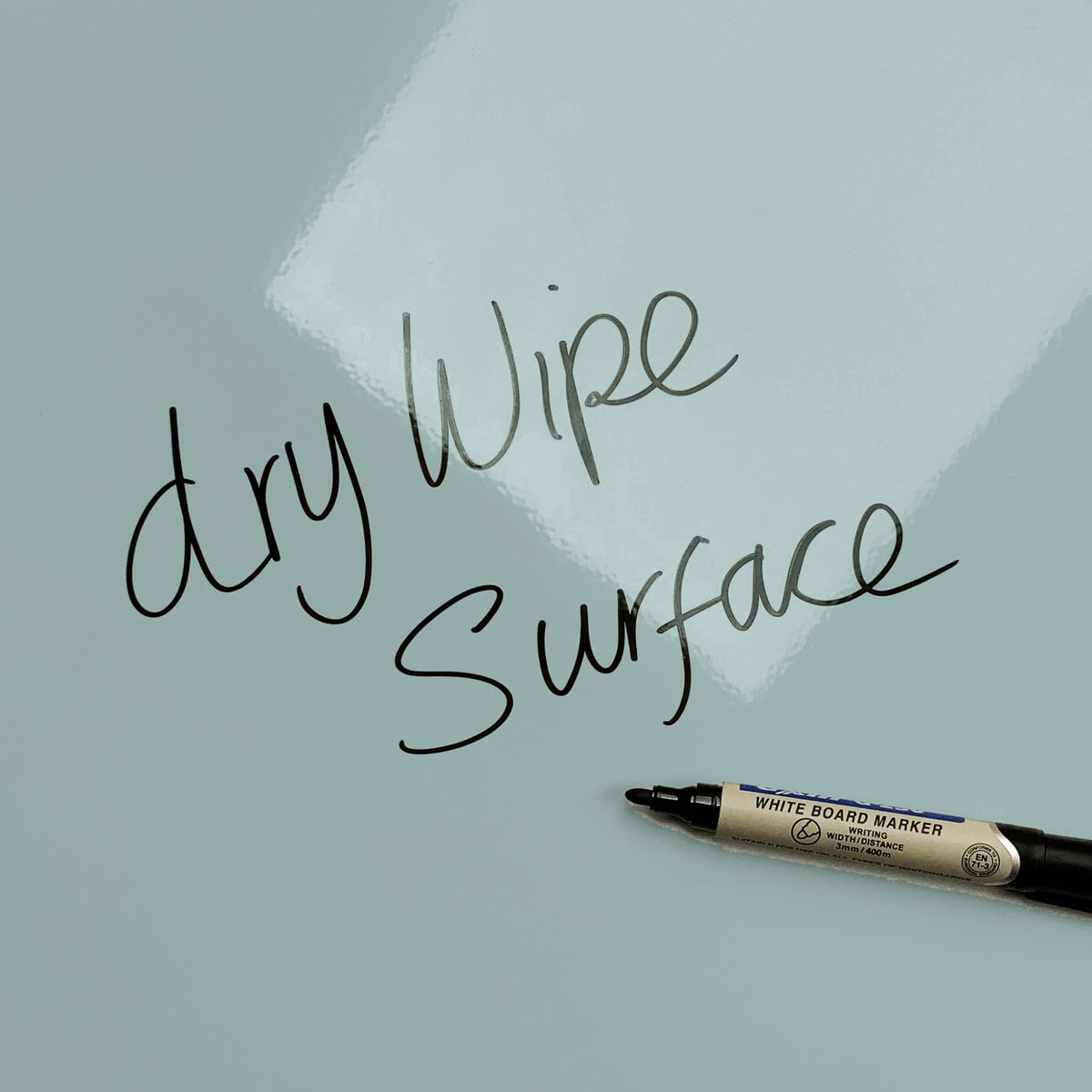 The words dry wipe surface written in marker pen on the Fish Illustration Sea Life Illustrations magnetic notice board