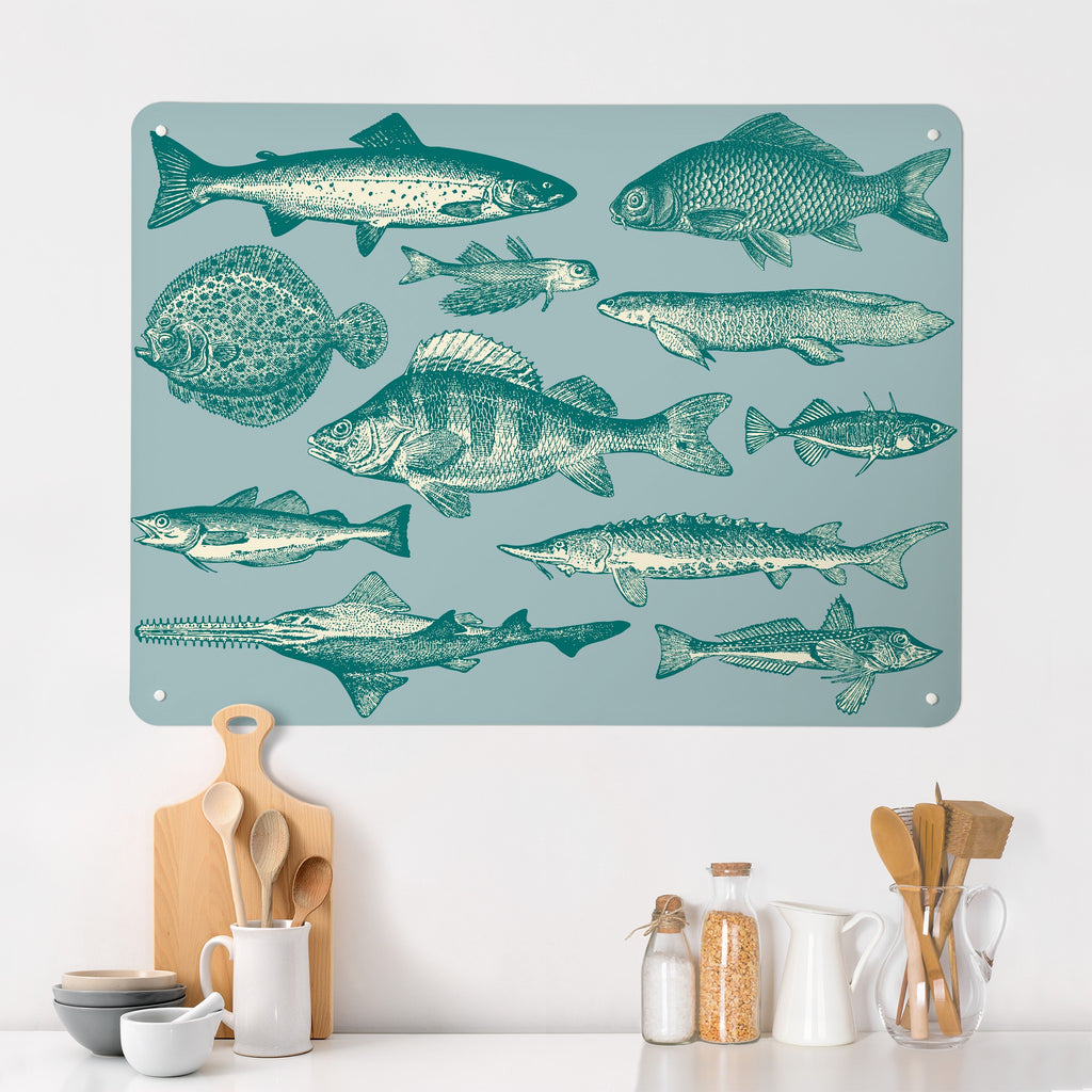 Sea Life Illustrations magnetic notice board in Fish Illustration on a kitchen wall