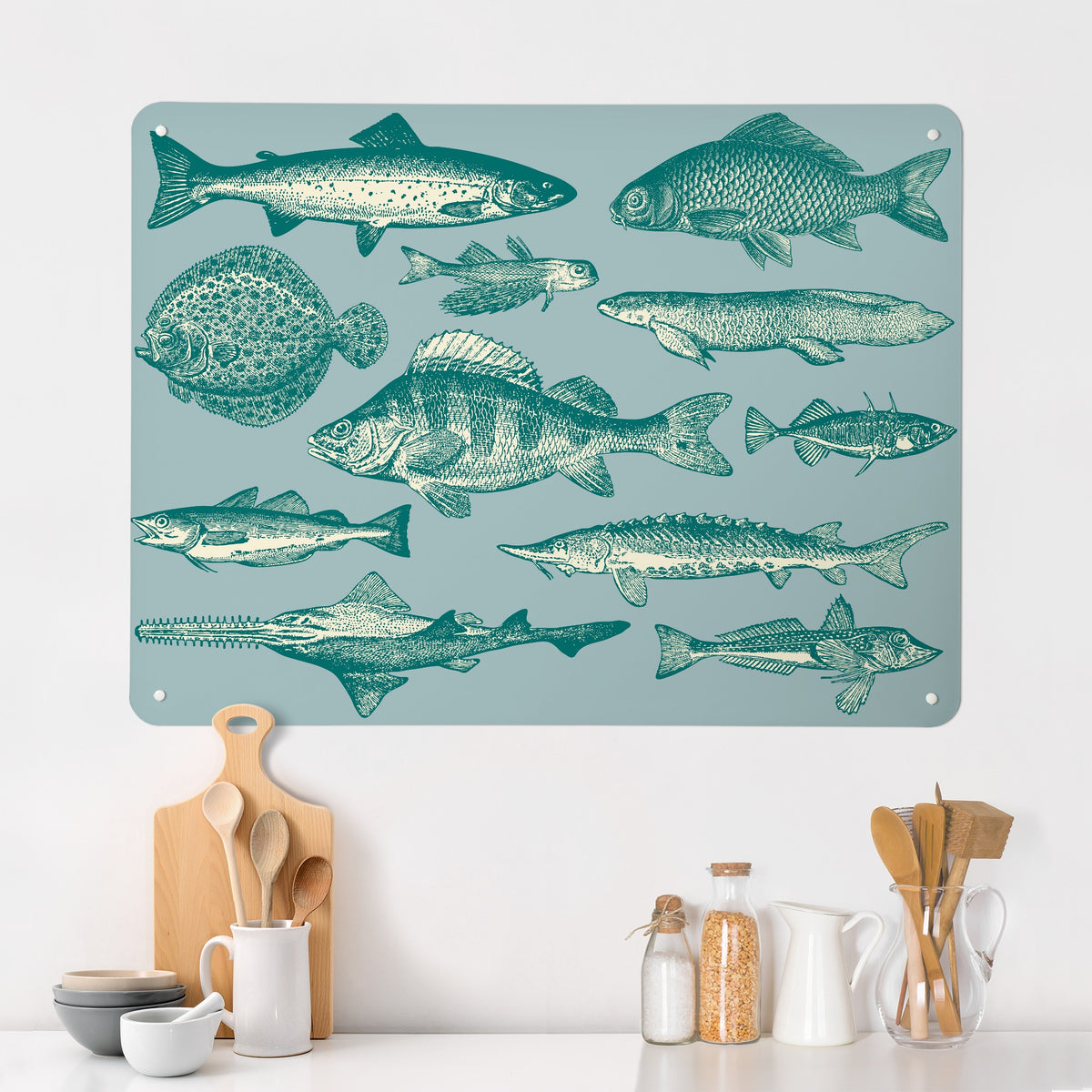 Sea Life Illustrations magnetic notice board in Fish Illustration on a kitchen wall