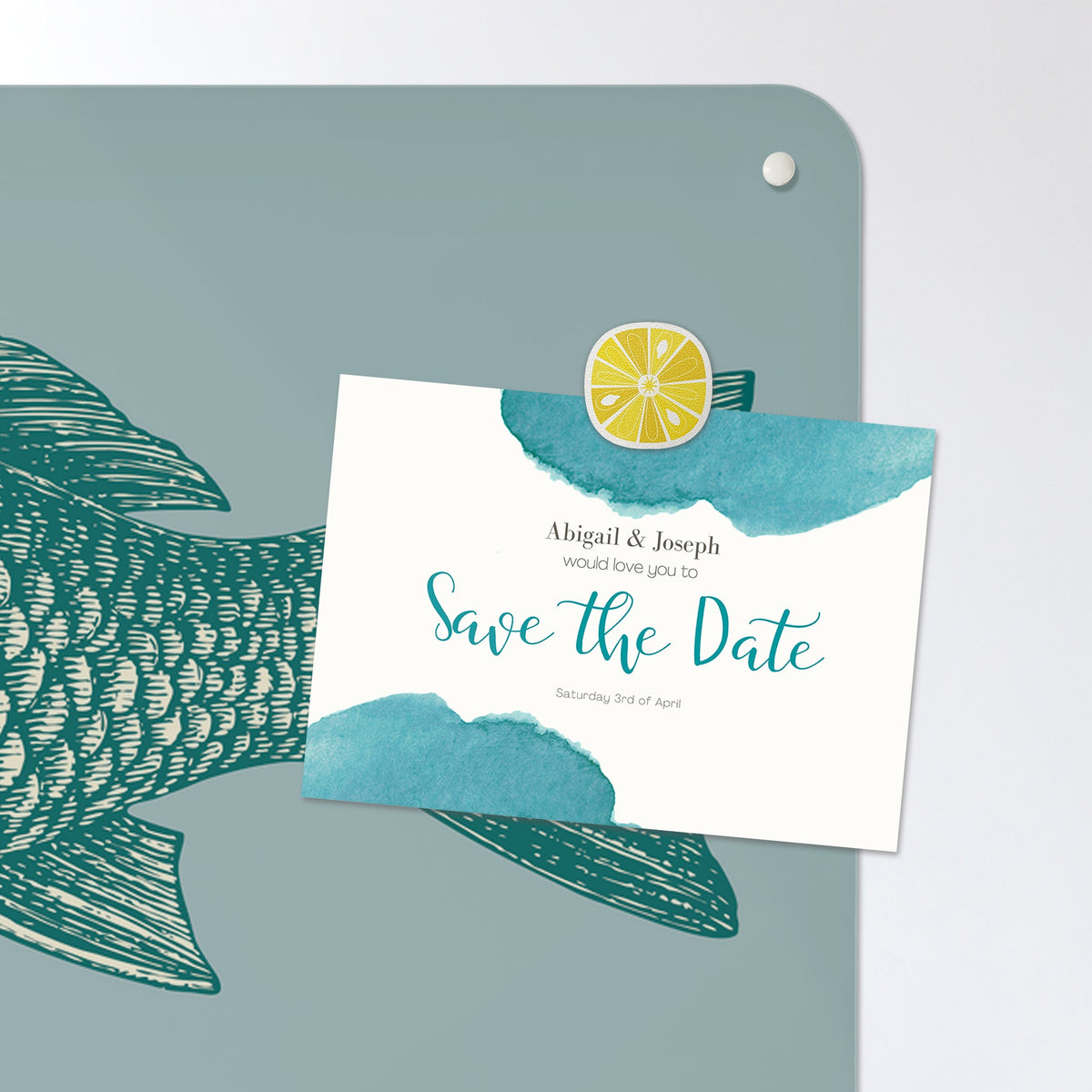 A postcard held by a fridge magnet on the Sea Life Illustrations magnetic notice board in Fish Illustration