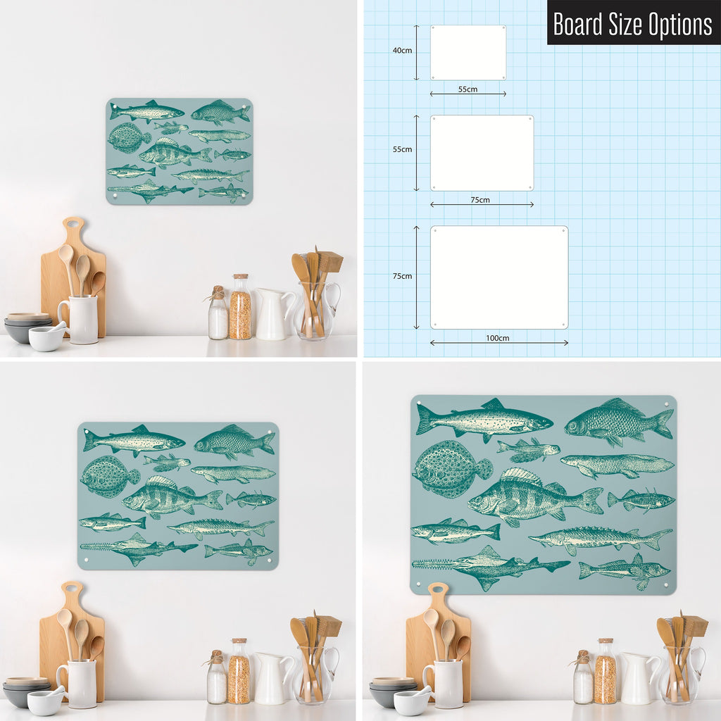 Sea Life Illustrations magnetic notice board in Fish Illustration shown in small, medium and large, with the measurements of each