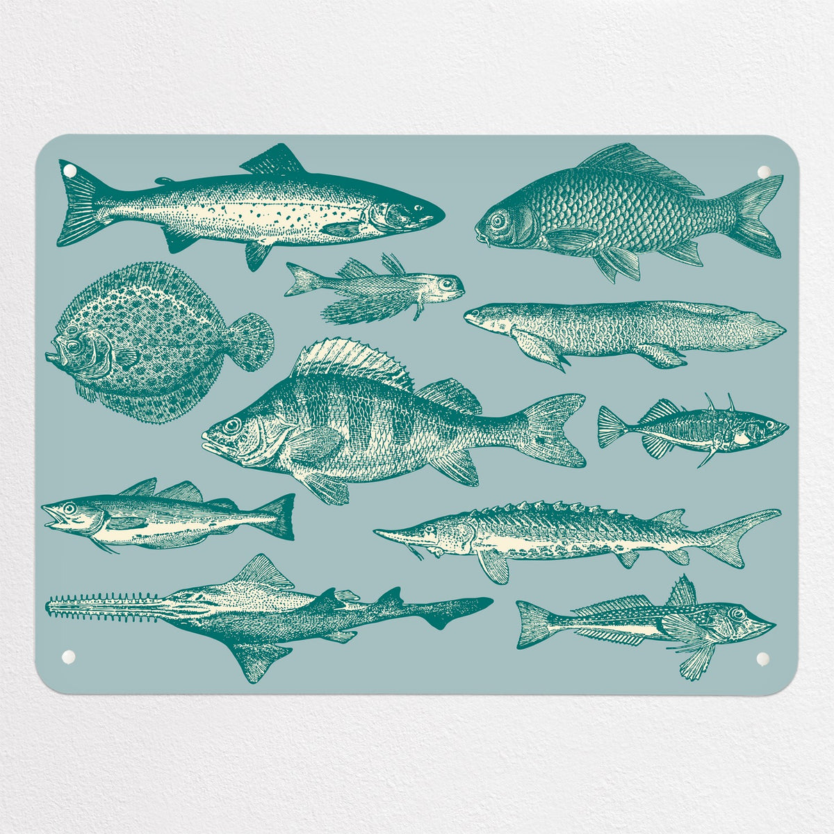 Sea Life Illustrations magnetic notice board in Fish Illustration, medium size, 75 × 55 cm