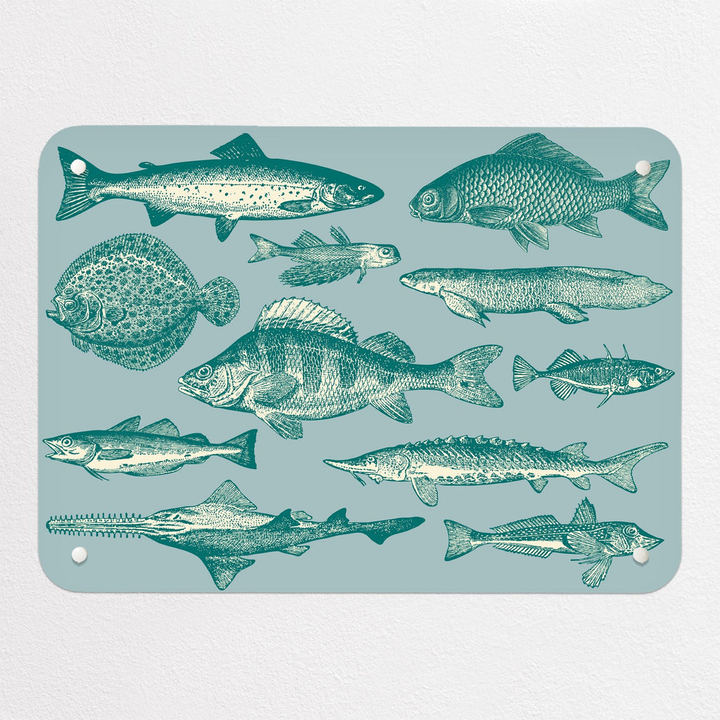Sea Life Illustrations magnetic notice board in Fish Illustration, small size, 55 × 40 cm