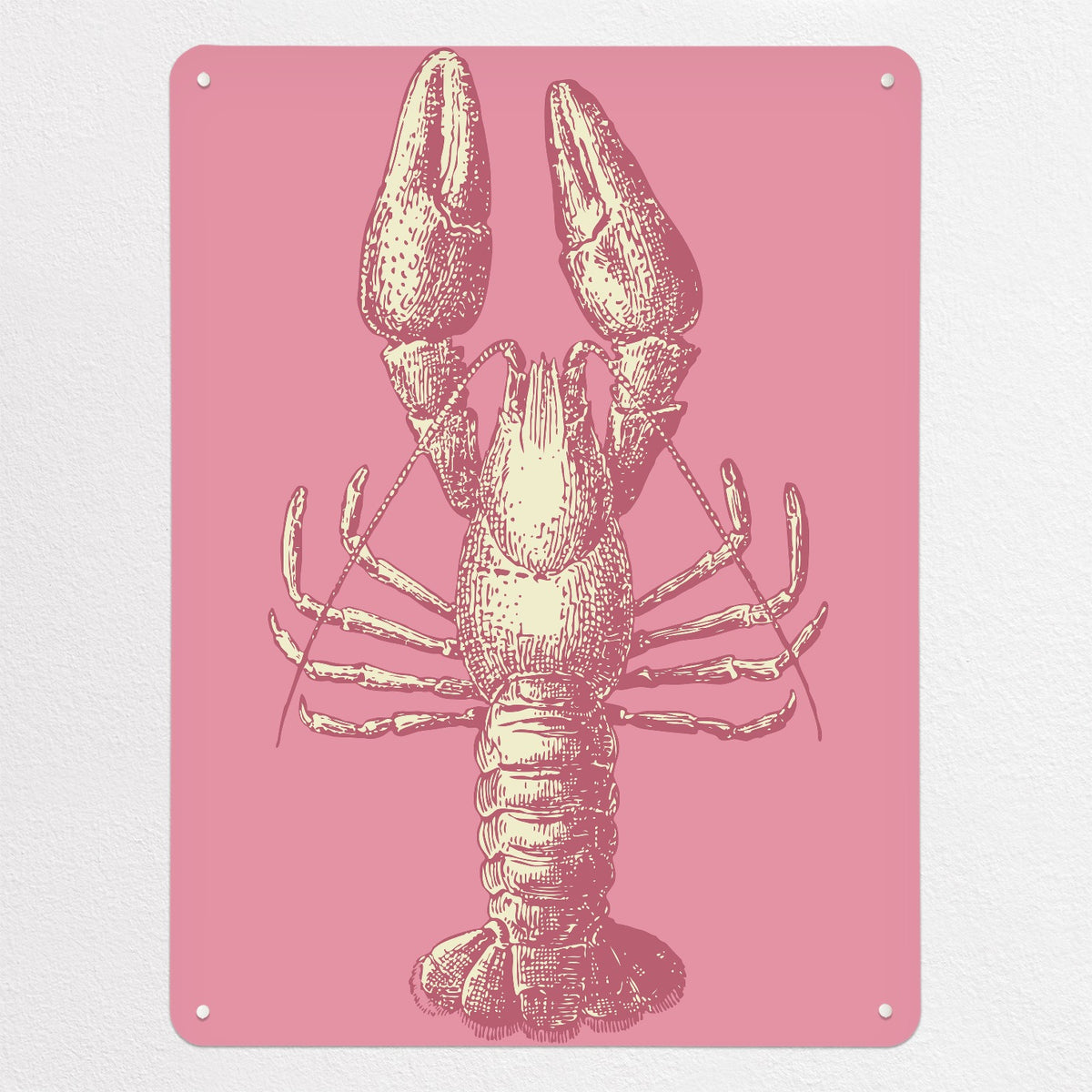 Sea Life Illustrations magnetic notice board in Lobster Illustration, large size, 75 × 100 cm