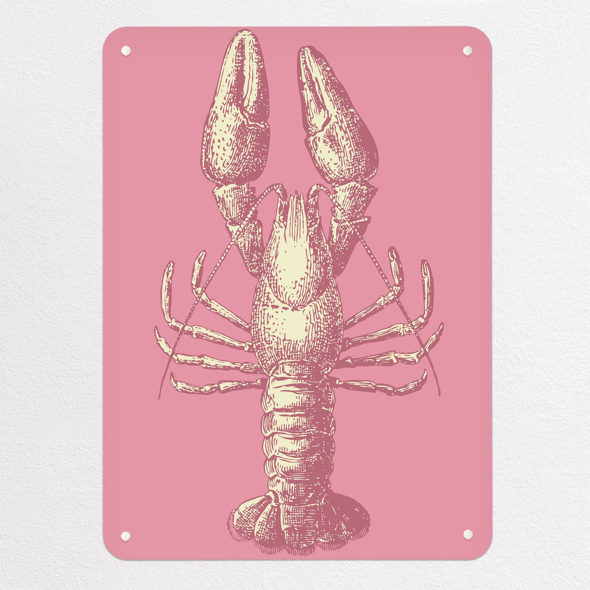 Sea Life Illustrations magnetic notice board in Lobster Illustration, medium size, 55 × 75 cm