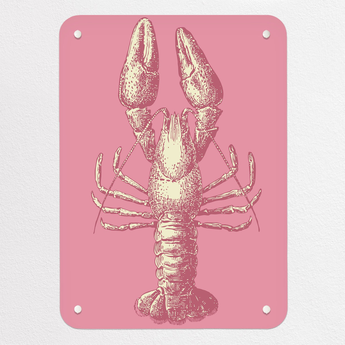 Sea Life Illustrations magnetic notice board in Lobster Illustration, small size, 40 × 55 cm