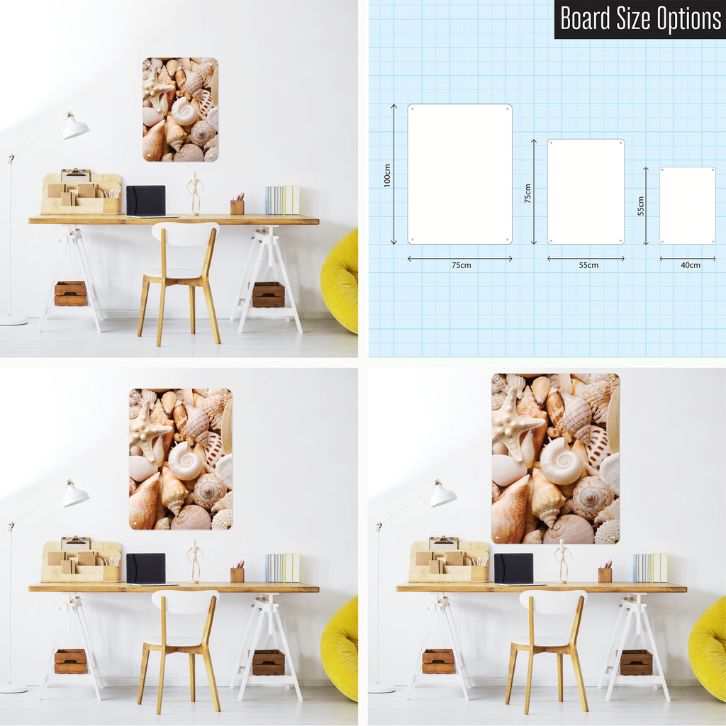 Shells magnetic notice board in Shells shown in small, medium and large, with the measurements of each
