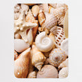 Shells magnetic notice board in Shells, small size, 40 × 55 cm