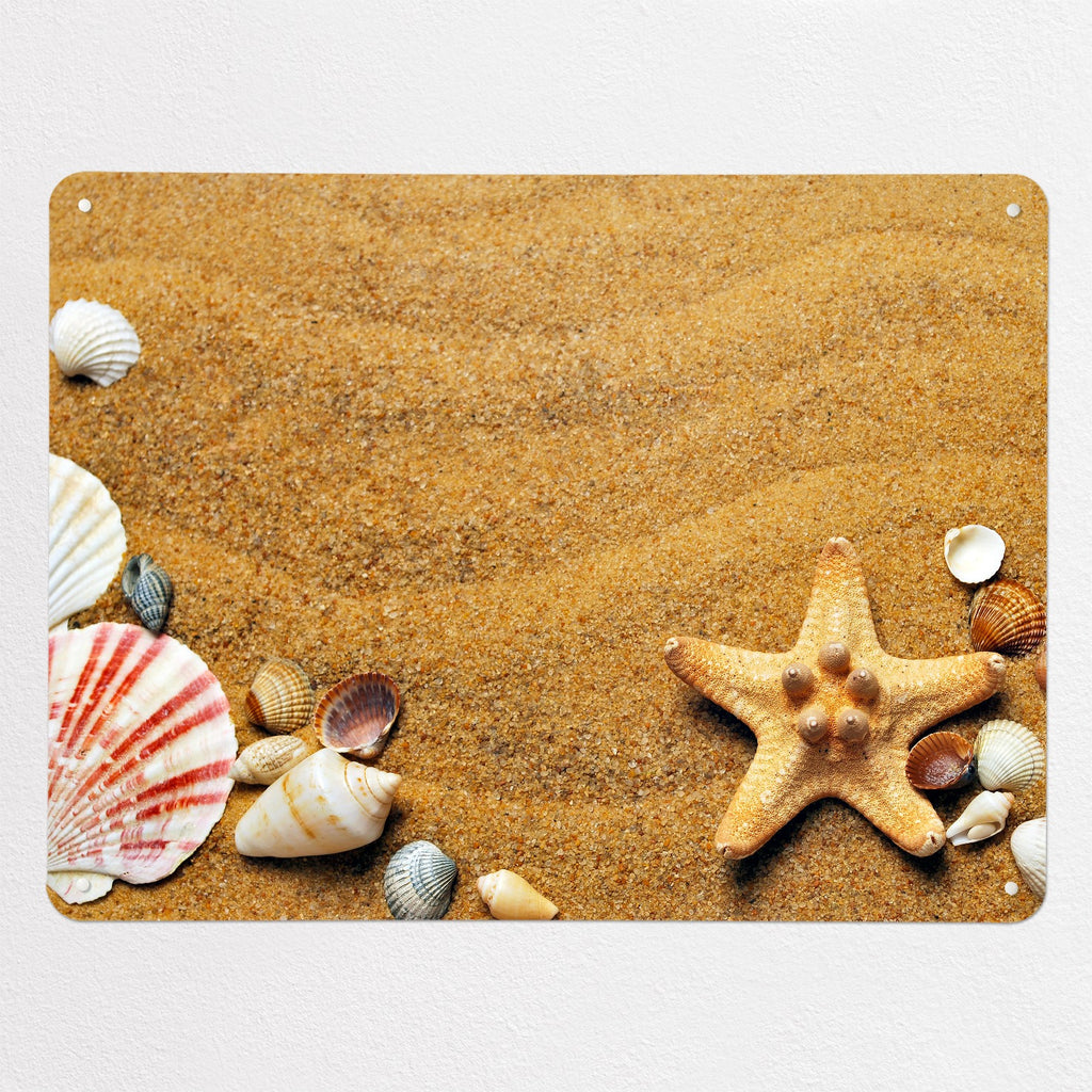 Shoreline Shells magnetic notice board, large size, 100 × 75 cm