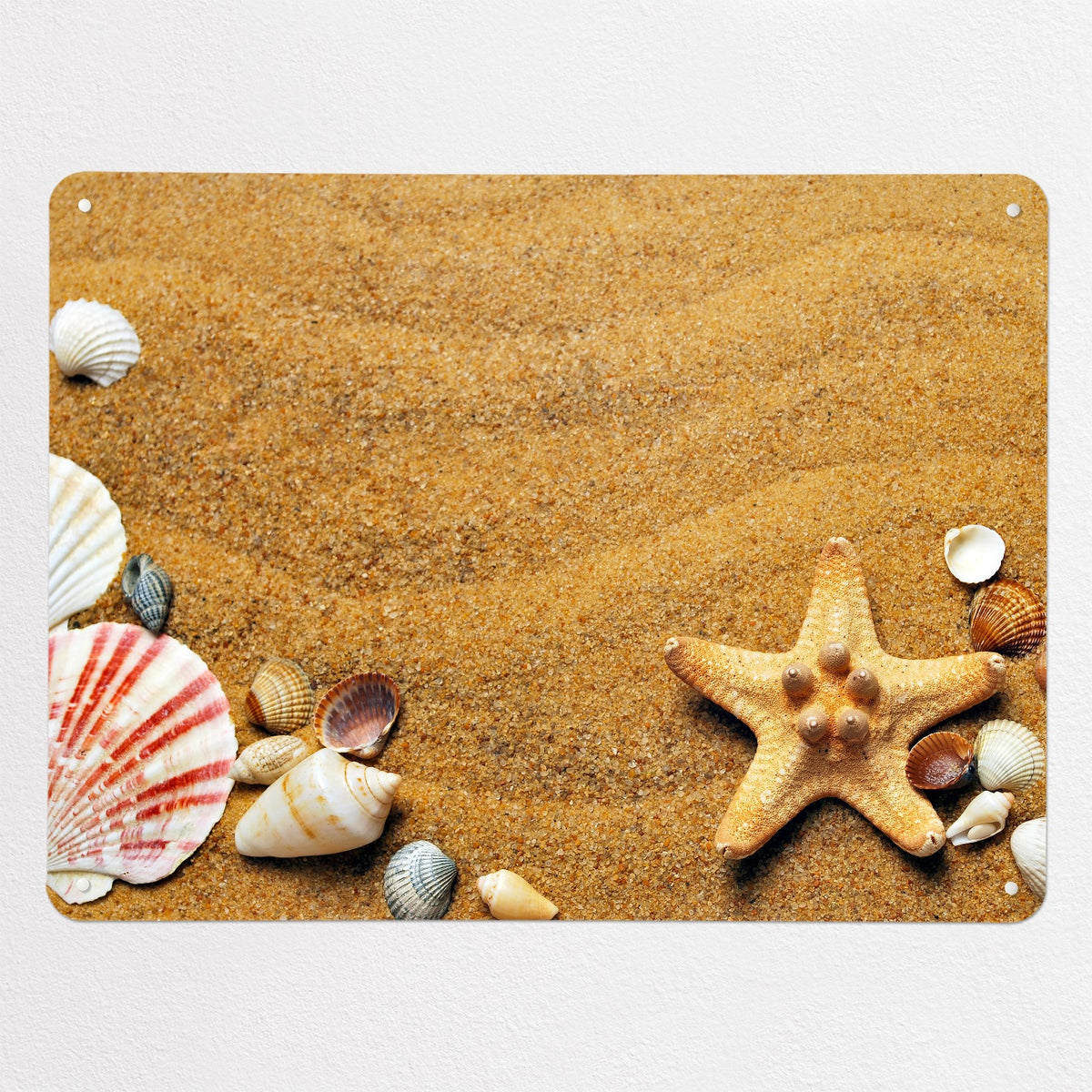 Shoreline Shells magnetic notice board, large size, 100 × 75 cm