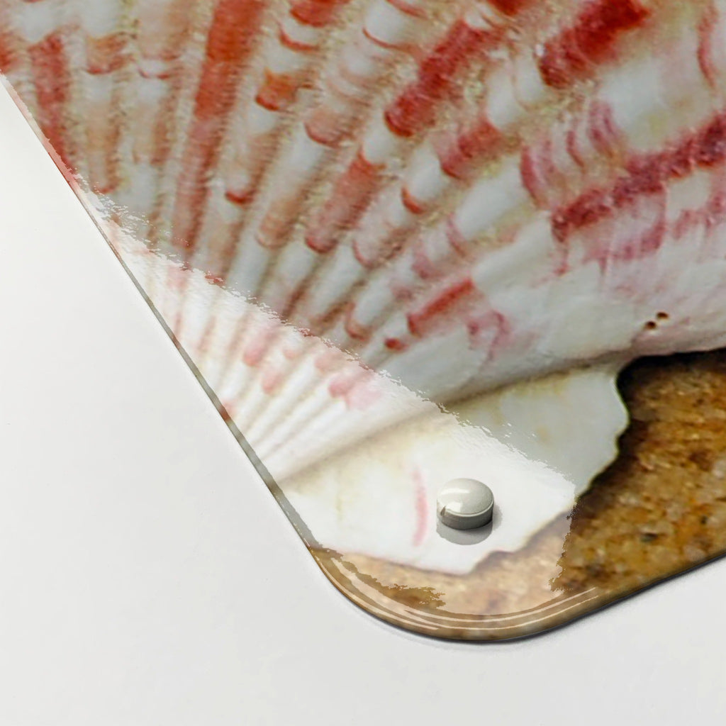 Close-up of the corner of the Shoreline Shells magnetic notice board, showing the gloss finish and a screw cap