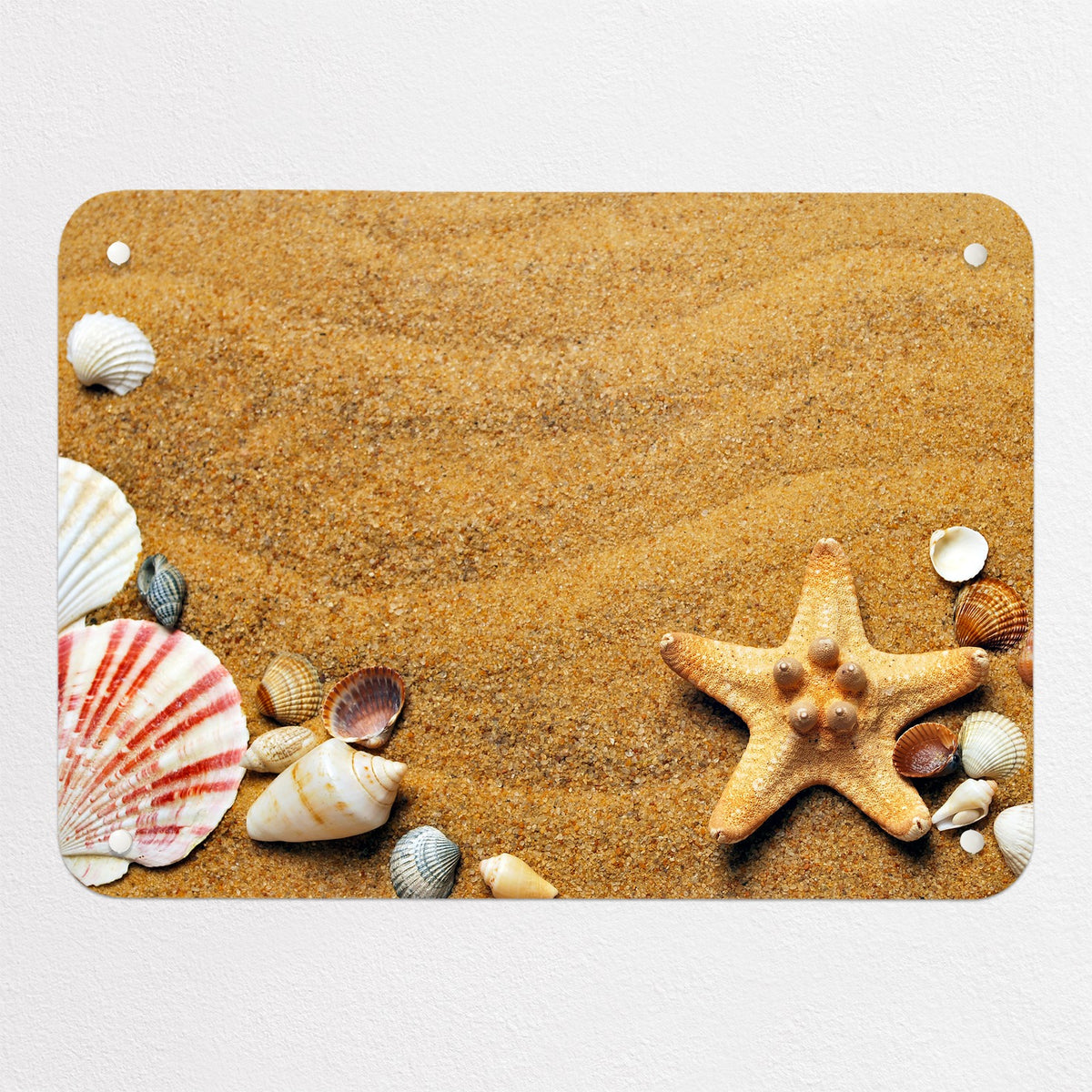 Shoreline Shells magnetic notice board, small size, 55 × 40 cm