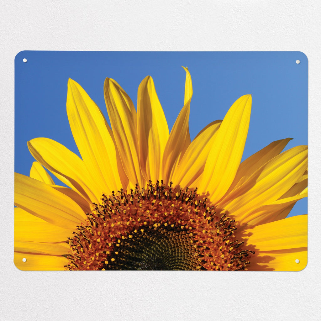 Sunflower magnetic notice board in Sunflower, large size, 100 × 75 cm