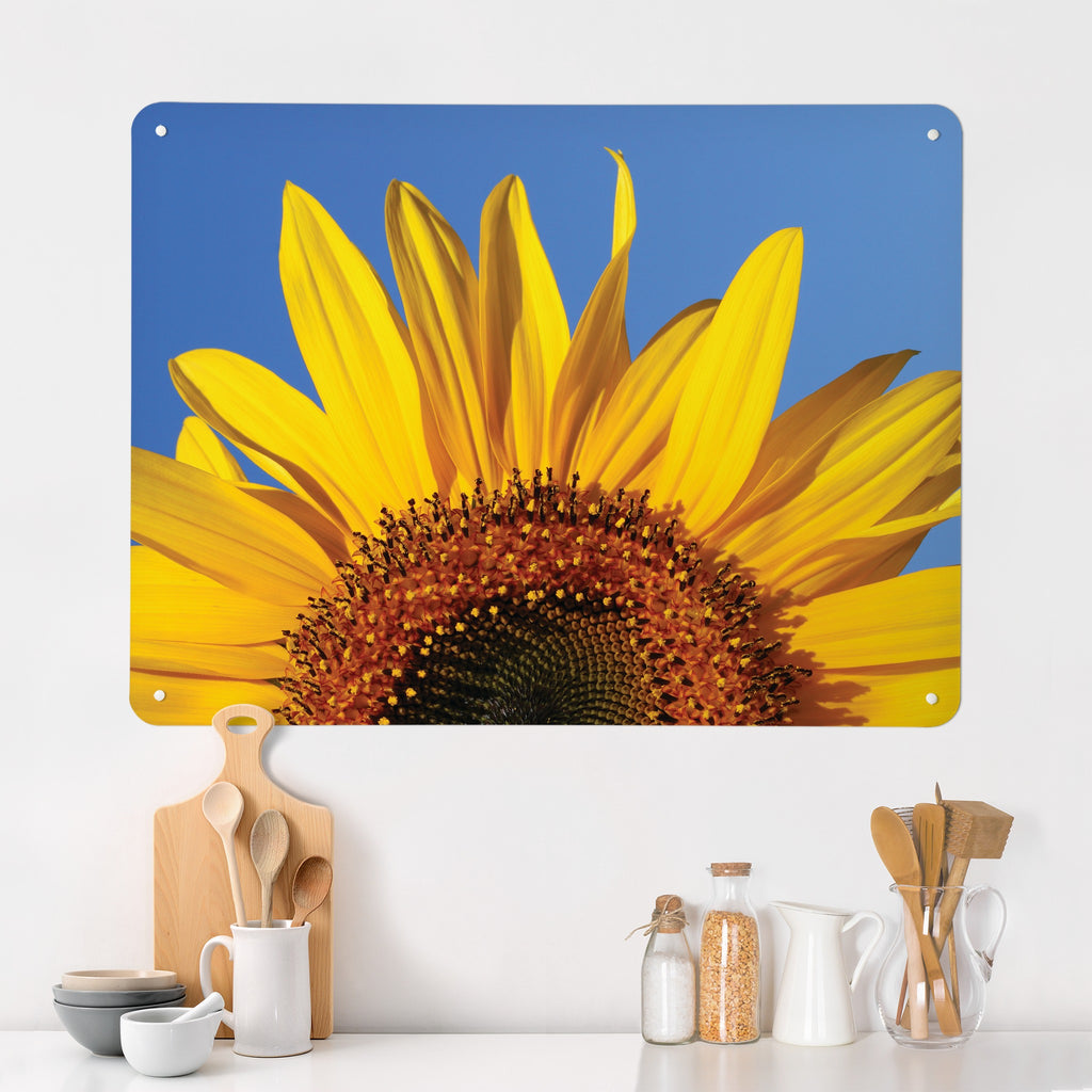 Sunflower magnetic notice board in Sunflower on a kitchen wall