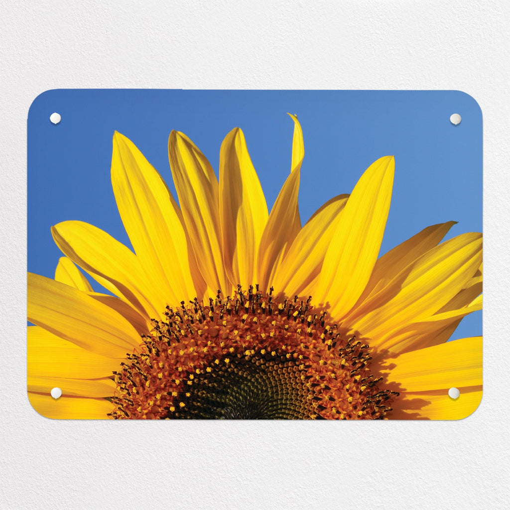 Sunflower magnetic notice board in Sunflower, small size, 55 × 40 cm