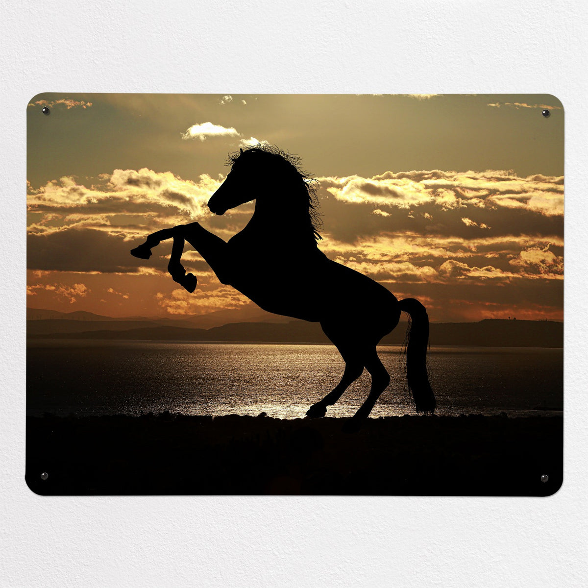 Sunset Horse magnetic notice board, large size, 100 × 75 cm