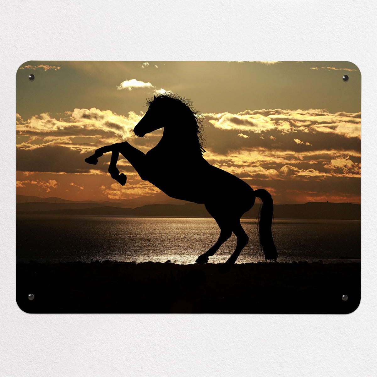 Sunset Horse magnetic notice board, medium size, 75 × 55 cm