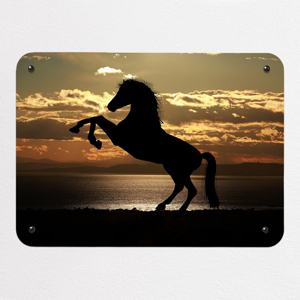 Sunset Horse magnetic notice board, small size, 55 × 40 cm