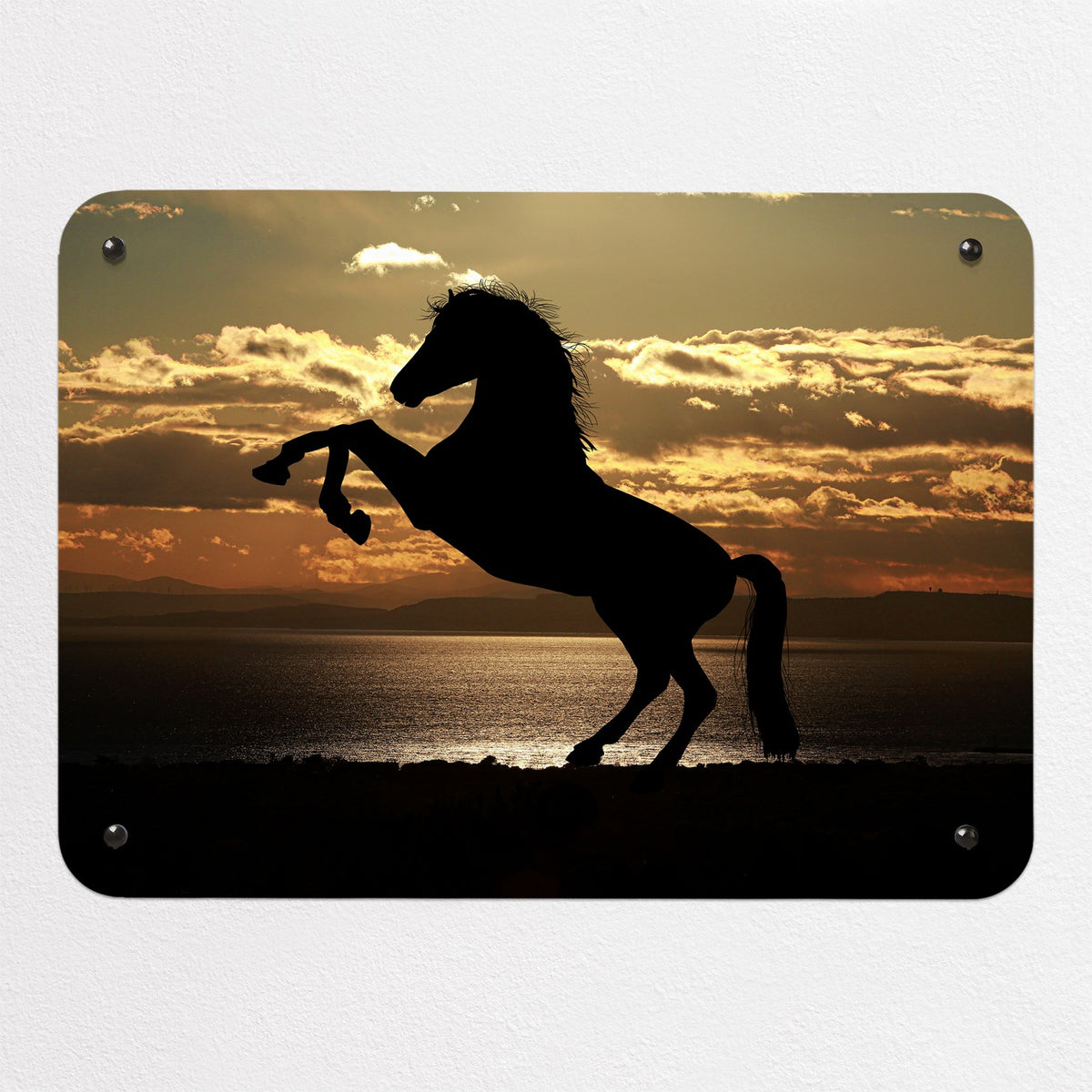 Sunset Horse magnetic notice board, small size, 55 × 40 cm