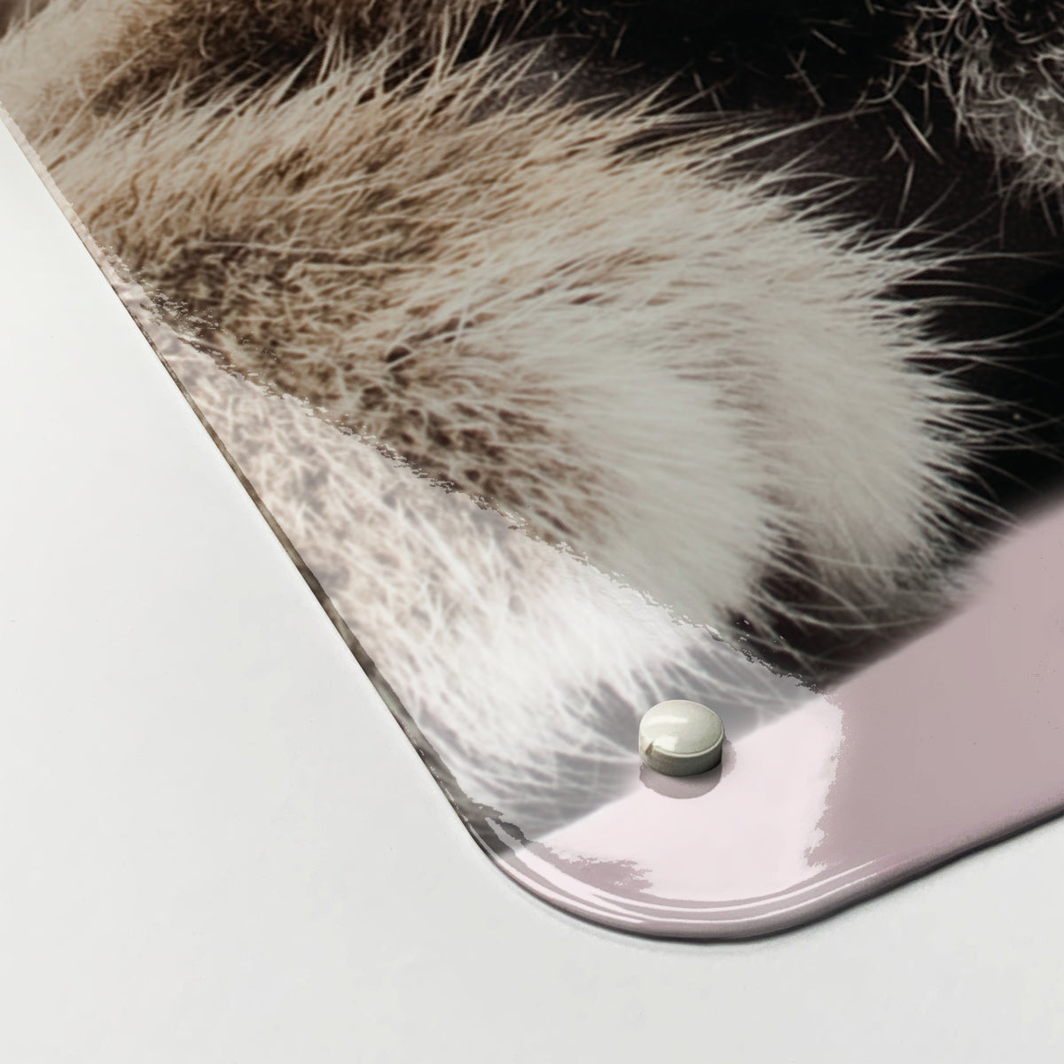 Close-up of the corner of the Tabby Kitten magnetic notice board in Tabby Kitten, showing the gloss finish and a screw cap