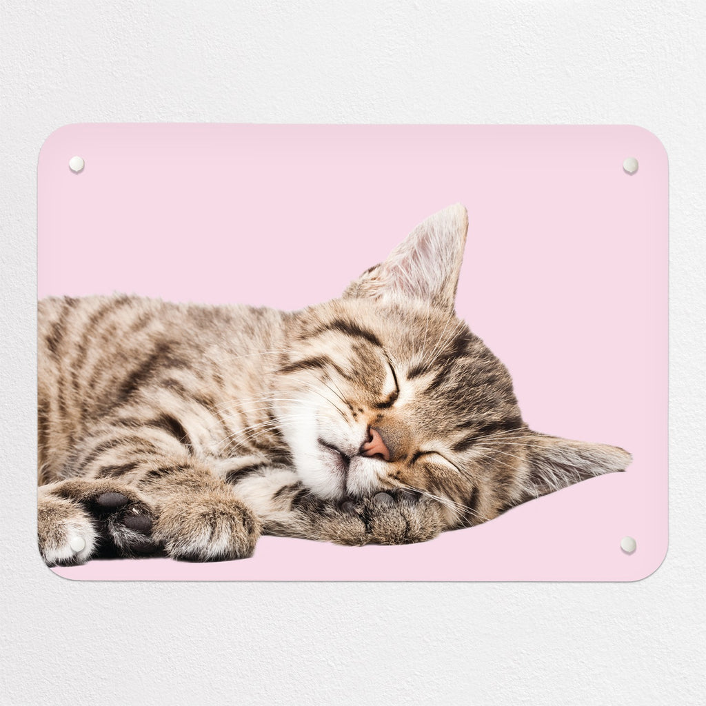 Tabby Kitten magnetic notice board in Tabby Kitten, small size, 55 × 40 cm