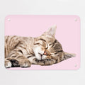 Tabby Kitten magnetic notice board in Tabby Kitten, small size, 55 × 40 cm