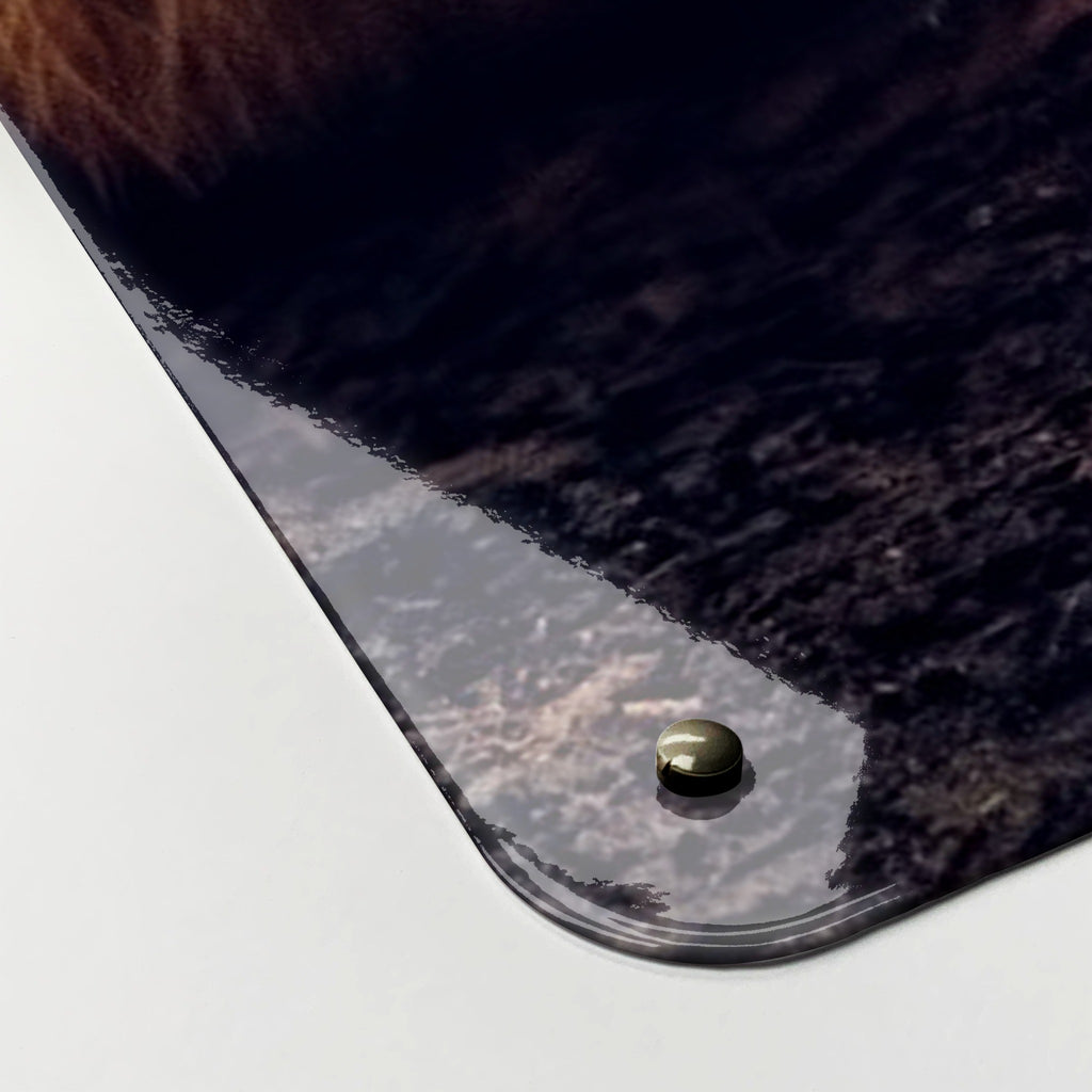 Close-up of the corner of the Tiger magnetic notice board, showing the gloss finish and a screw cap